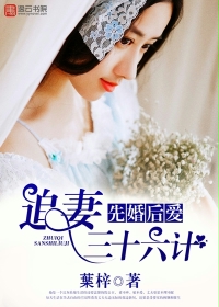 先婚后爱,追妻三十六计全文阅读