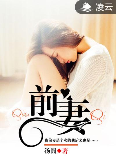 前妻全文阅读