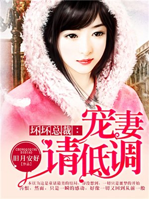 坏坏总裁:宠妻请低调全文阅读