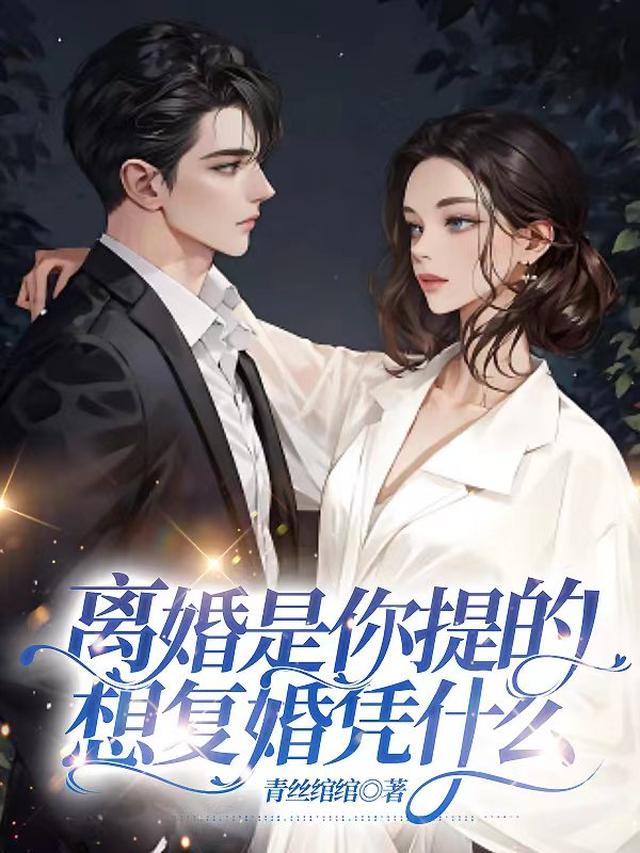 离婚是你提的,想复婚凭什么全文阅读