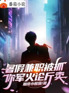 暑假兼职被抓,你军火论斤卖?全文阅读