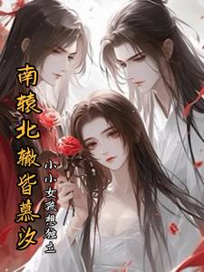 我踹了南国晋王,找了北国摄政王全文阅读