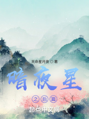 暗夜星之后篇全文阅读