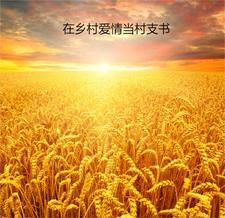 在乡村爱情当村支书全文阅读