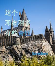 这个邓布利多有些奇怪全文阅读