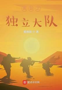 亮剑之独立大队全文阅读
