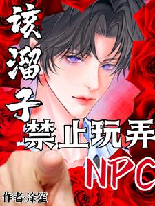 该溜子禁止玩弄NPC全文阅读