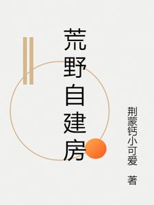 荒野自建房全文阅读