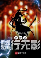 网游之贼行无影全文阅读