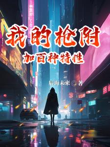 我的枪附加百种特性全文阅读