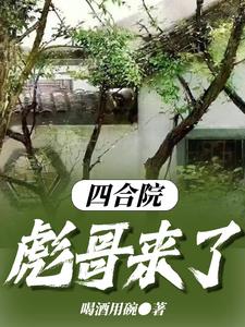 四合院彪哥来了全文阅读
