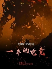 一年的电竞全文阅读