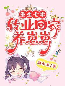 重生七零,我在山村养儿子全文阅读