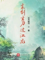 柔剑玄刀过江龙全文阅读