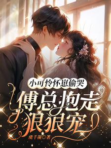 小可怜怀崽偷哭:傅总抱走狠狠宠全文阅读