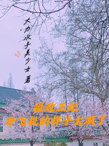 摄政王妃开飞机的样子太飒了全文阅读