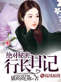 绝对秘密:行长日记全文阅读