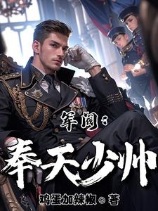 军阀:兄长走后,留给我一个奉军全文阅读