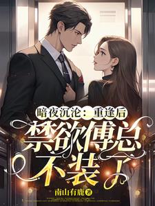 暗夜沉沦:重逢后禁欲傅总不装了全文阅读