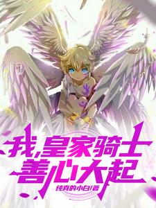 我,皇家骑士!善心大起全文阅读